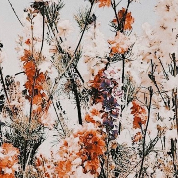 Meet your Posher, Tania - Picture 3 of 3